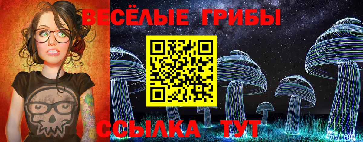 Галлюциногенные грибы прущие грибы Бердск