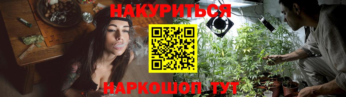 Каннабис ГИДРОПОН Бердск